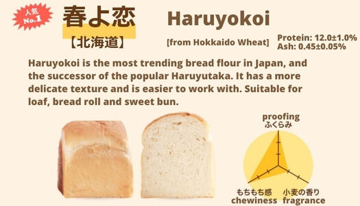 Haruyokoi Wheat Flour
